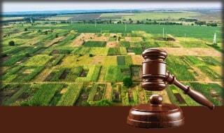Office Of The Custodian Of Enemy Property For India Auctions for Plot in Rudain, Sitapur