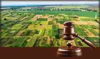 Central Bank of India Auctions for Land in Nissing., Karnal